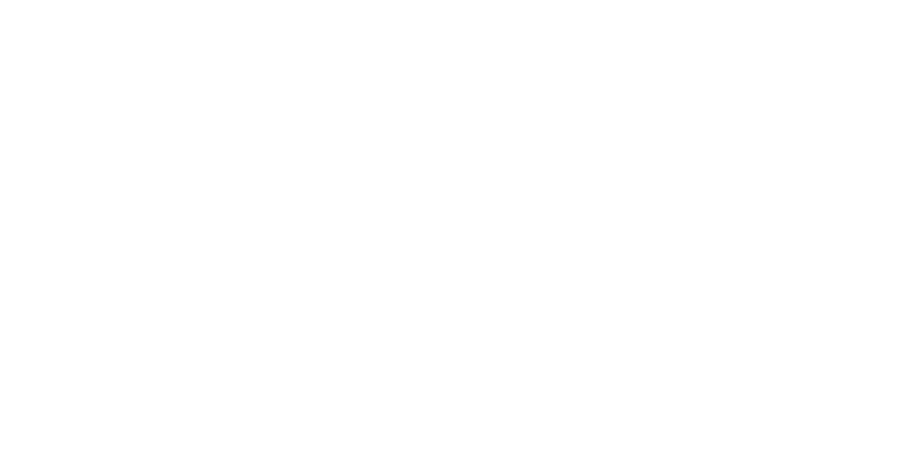 BLV Master S.r.L.